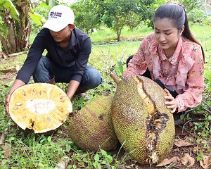 55K views · 2.2K reactions | Have you ever eaten ripe jackfruit from jackfruit tree? Cooking with Sreypov | FOOD & COOK | Facebook