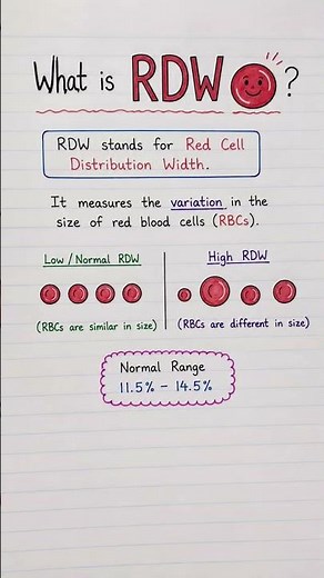 RDW Explained Simply in seconds!! 🩸 CBC #Shorts #CBC #Nursing #RDW