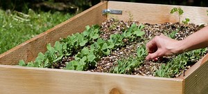 How to Plant a Square Foot Garden | DoItYourself.com