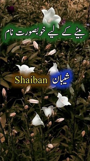 Islamic baby boy names modern unique best new names with meaning 2026 #shorts