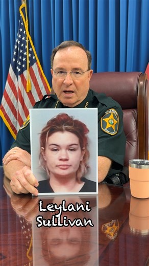 255K views · 10K reactions | Here's another story about a woman behaving badly. When she sobered up in the jail cell we wonder if she regretted her actions. Wook at the widdle bitty Yeti cup awwwwwwwwwww. So cute! Thanks Transition Solutions! Check them out at https://www.nptransitions.com. #PolkSheriff #GradyJudd #MorningBriefing | Polk County Sheriff's Office | Facebook