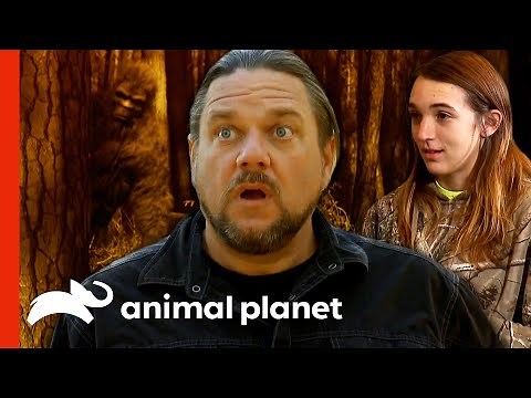 Girl Experiences Six Sasquatch Sightings! | Finding Bigfoot