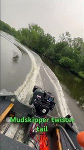 13hp hemi predator paired up with a twister xl mudskipper kit#mudmotor#predator#mudskipper#longtail