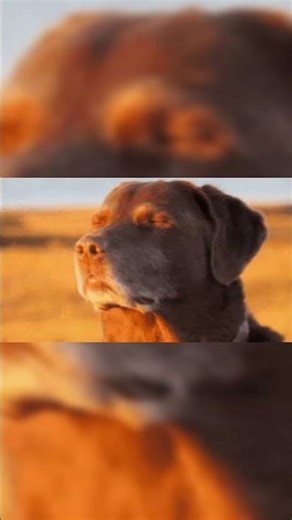 When BATMAN thought He could hang with SUPERMAN