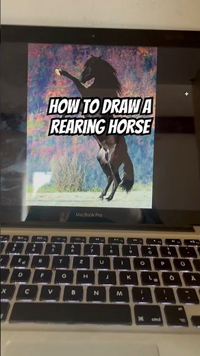 Drawing Tutorial #rearing #horseriding #horses #diy #drawing #drawingtutorial #horsedrawing #howto