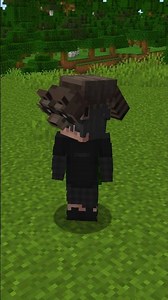 MAPACHES EN MINECRAFT