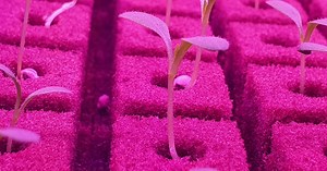 EDB launches AgriTech loans scheme and plans to offer $27m to support food security sector | The National