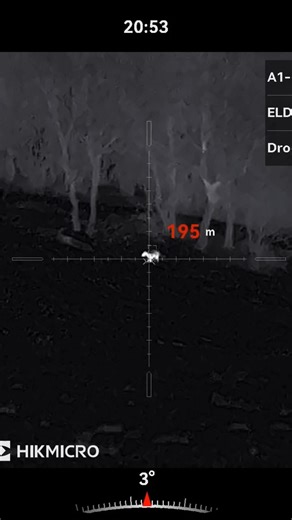 300Win Mag vs Fox 195m HIKMICRO STELLAR SX60LS 3.0