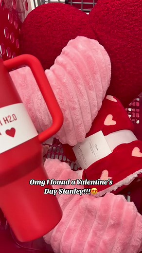 Get ready because a new Stanley is coming to Target!! This is definitly my fave😍 it will be available on 12/31 and rhere will be a pink kne as well💕 #target #targetfinds #targethaul #stanleytumbler #stanley #stanley40oz #stanleyvalentinesday #valentinesday #valentinesday2024