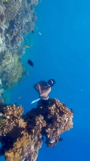 Dian Indriy on Instagram: ""Exploring nature isnt about escaping....its about remembering...who we are beneath the noise...beneath the roles...beneath the shoulds...its not a retrreat...its a return.."❤️🤍 Have a lovely day🌴🌺⭐️🧚🏿‍♂️ . . 📍 Morotai, Maluku Utara🌴🌺🌻🐋 . . #ternate#morotai#malukuutara#exploremalukuutara#indonesiaparadise#beautifulindonesia#wonderfulindonesia"