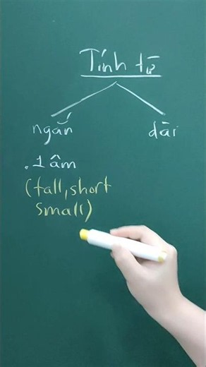 Các loại tính từ trong tiếng Anh #kyanhtrung #english #englishteacher #asmr #study