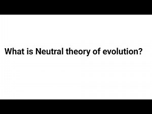 What is Neutral theory of evolution ?