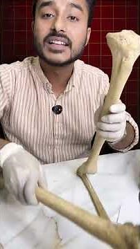 Bone Series Part 13🦴 | One Bone That Saves Marks 🧠🔥 #shorts #mbbs