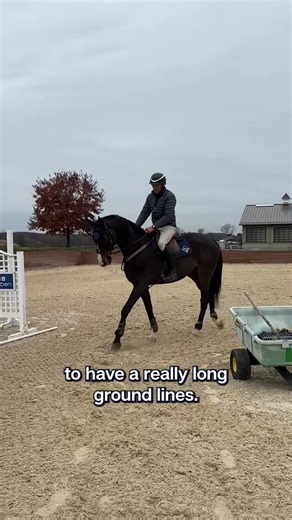Cantering Single Fences | After working on keeping Remi from rushing the fences at the trot and coming back to me after the jump, we work on cantering some single fences. Next ➡️ gymnastics! | Boyd Martin