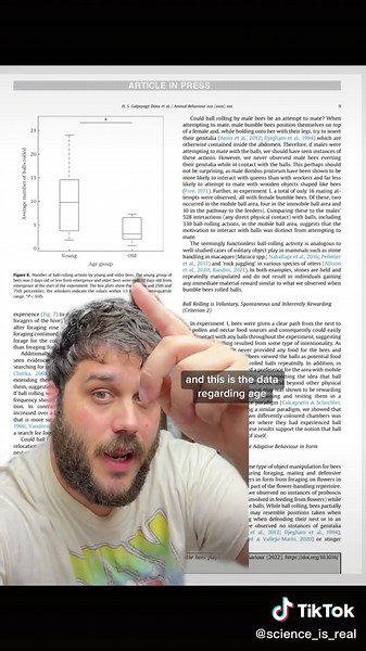 Playful Bumblebees: The Fascinating Behavior of Insects
