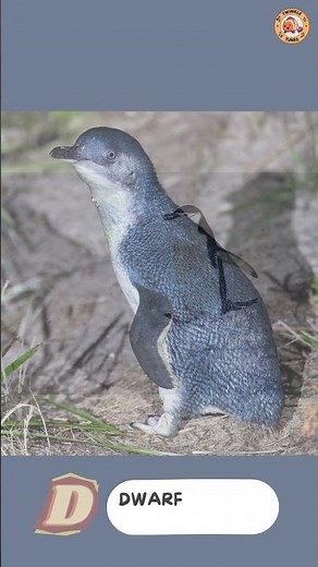 ABC Penguin Alphabet Song - Part 1: A to E - #singing & #learning #abcd together