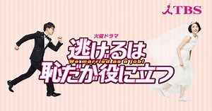 火曜ドラマ『逃げるは恥だが役に立つ』