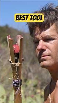 BEST primitive tool to harvest prickly pears