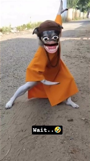 में बाबा टिल्लू 🦮 ढोंगी बाबा #trending #funny #shorts #dog #explore #entertainment #viralvideos