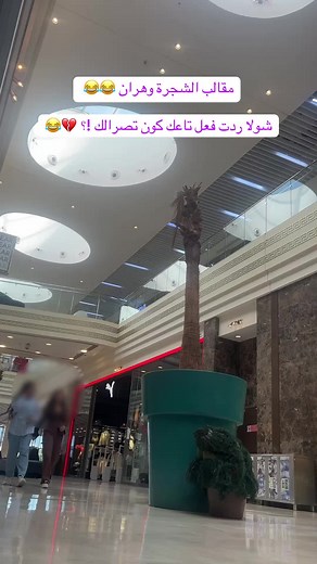 #oran #humour #مقالب_مضحكه دير_ابوني_جاي_جديد_تشبع_ضحك 😂😂😂😂😂#fyp