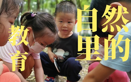 自然教育|让教育自然发生