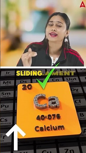 Muscle Contraction: Sliding Filament Theory in 1 Minute!