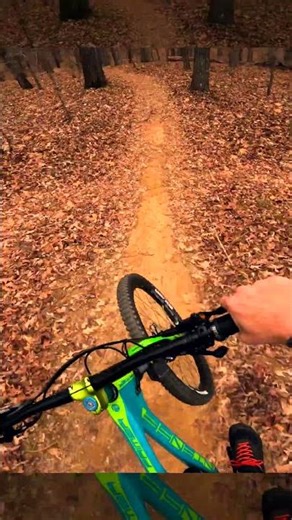 This little Jump line is DIALED #georgiamtb #mtb #gopro #mountainbike #downhill #mtblife