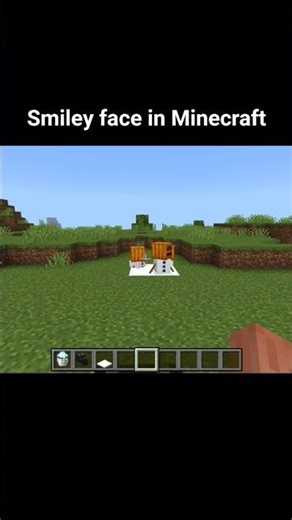 I made smiley face in Minecraft 🤫