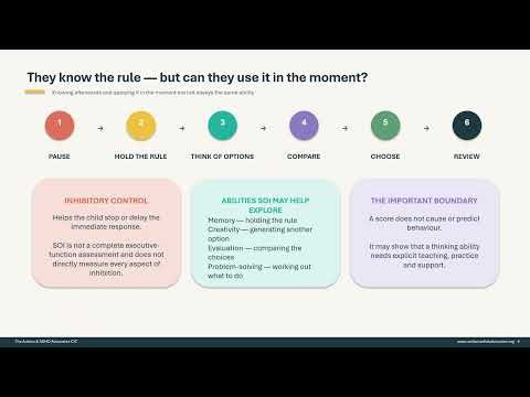 Why Is My Child Struggling to Learn? | SOI Learning Profile Assessments for Parents