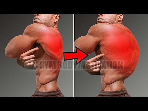 Build a Wide and Thick Back – 5 Essential Back Exercises