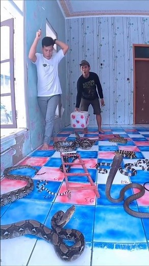 Real Life Version of Snake and Ladder