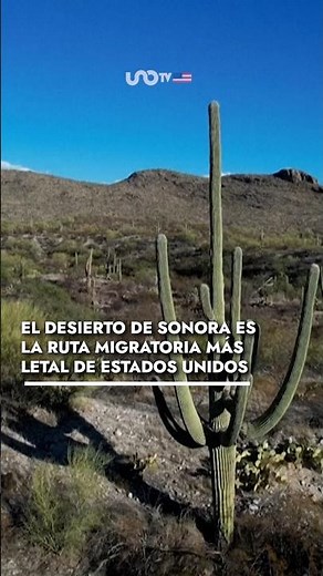 Desierto de Sonora: la ruta migratoria más letal entre México y Estados Unidos