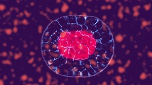 Cellular Division Under Microscope Stem Cells Stock Footage Video (100% Royalty-free) 1036091699 | Shutterstock