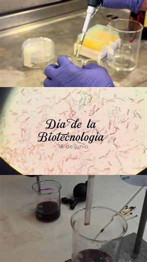 Biotecnología UADE: ¿Qué es y por qué elegirla?