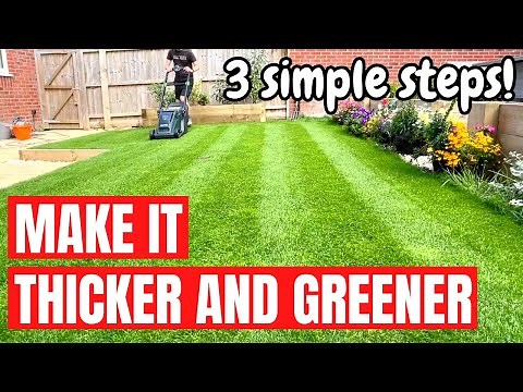 How to Make Your Lawn Thicker and Greener - Only 3 Simple Steps