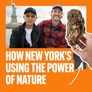 1.8K views · 60 reactions | London has a once-in-a-generation...