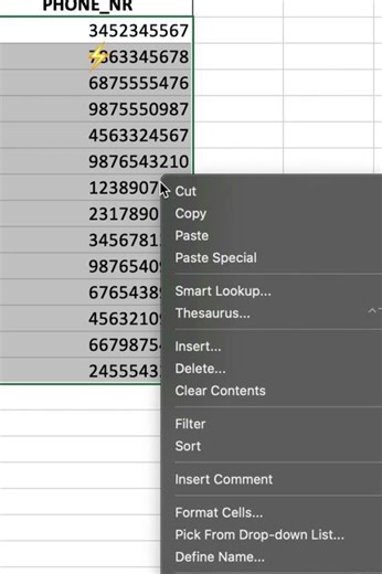Phone format #spreadsheetmagic #ExcelTips #ProductivityHacks #ExcelShorts #excel
