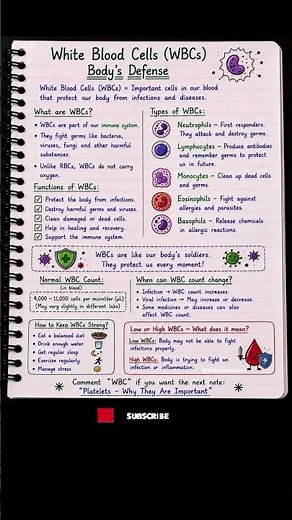 What Do White Blood Cells Actually Do? 🤔 (Types & Functions)