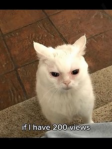 Why Likes Matter: Help Creators on the Rise