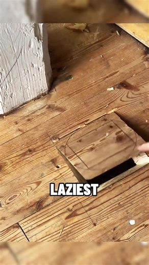 #thisiscrazy #shockingvideo #unbelievable #mindblown #wtfmoment | shocking