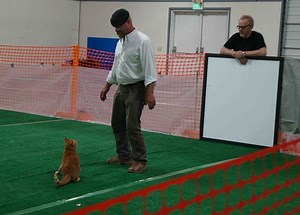 'Mythbusters' Season 13, Episode 6: 'Mythssion Impossible'