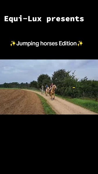 Equi-Lux | Jumping horses Edition #teamequilux #horselife #horsemom #teensdays #kids #ponypower #ponys #jumpinghorses #teaching #love #equestrian #equitation #equine #equestrianlife #holiday