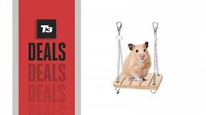 I found the weirdest Amazon Prime Day deal. It's a hamster swing