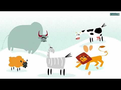 Vocabulaire : l'étude de l'origine des mots #coliglote