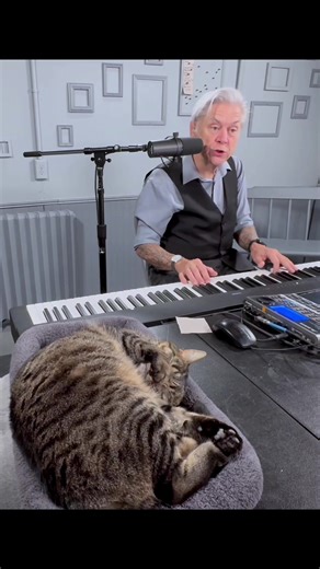 Exploring the Aftermath: What to Do with a Body