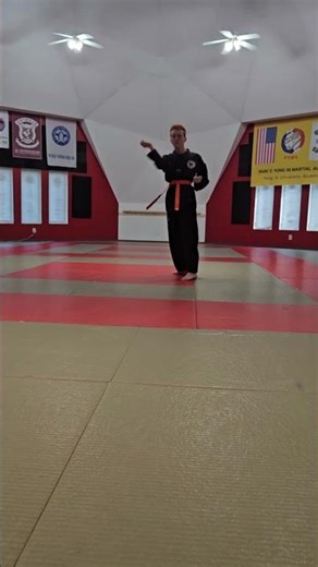 Philip's Green Belt Test- Poomsae (Form)