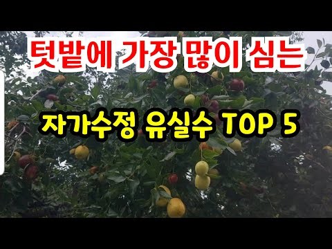 Top 5 Fruit Trees Most Commonly Planted in Vegetable Gardens (Self-pollinating)