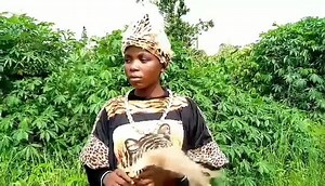 5.1K views · 164 reactions | Zambia ❤ | Zambian Landscape | Facebook