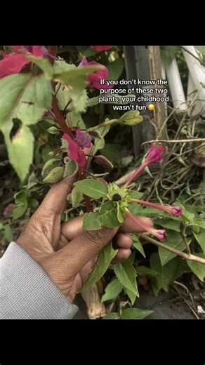 Fun Girly Makeover Ideas for Playful Transformations