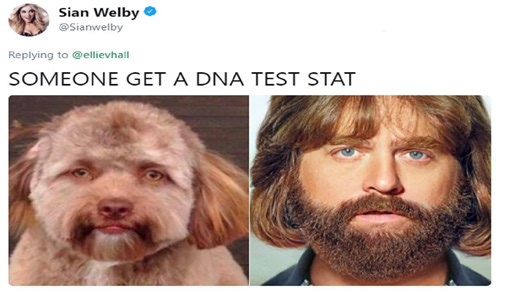 Meet Yogi, the dog with a human face